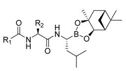 graphic file with name molecules-18-15398-i008.jpg