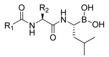 graphic file with name molecules-18-15398-i012.jpg