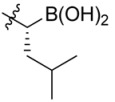 graphic file with name molecules-18-15398-i002.jpg