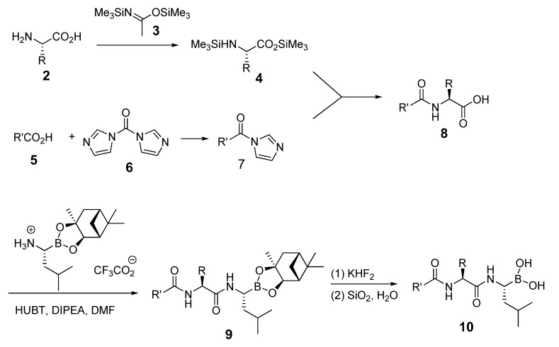 Scheme 1