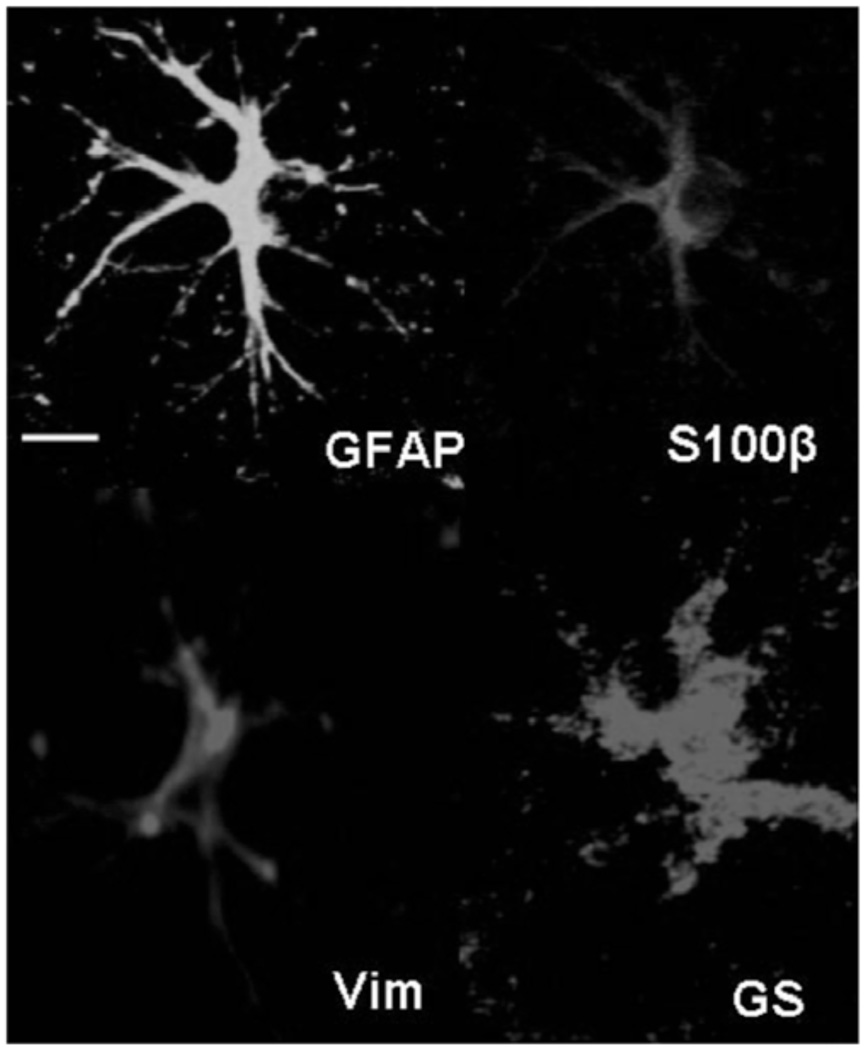 Fig. (1)