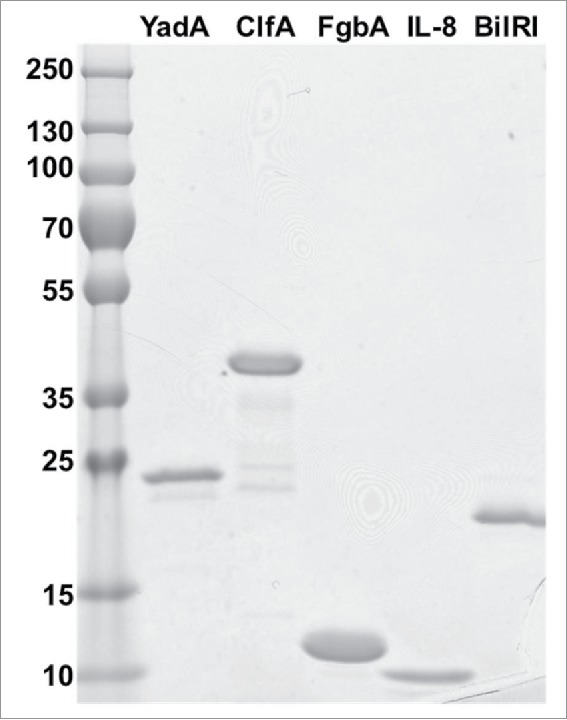 Figure 7.