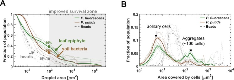 Figure 5—figure supplement 1.