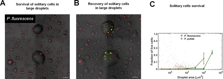 Figure 3—figure supplement 4.