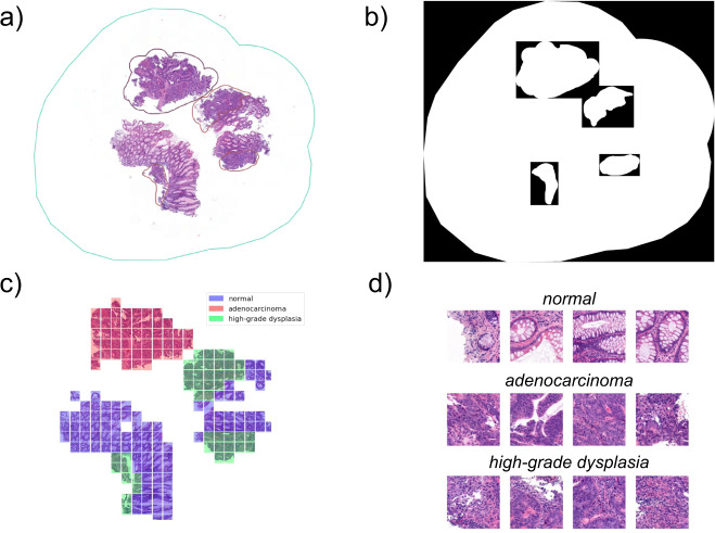 Fig. 2