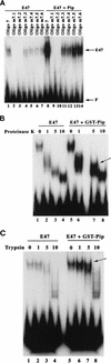 FIG. 9
