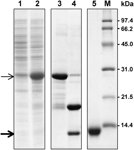 Figure 10.