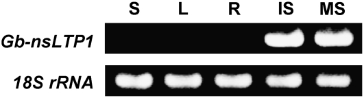 Figure 9.