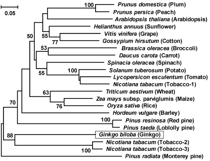 Figure 4.