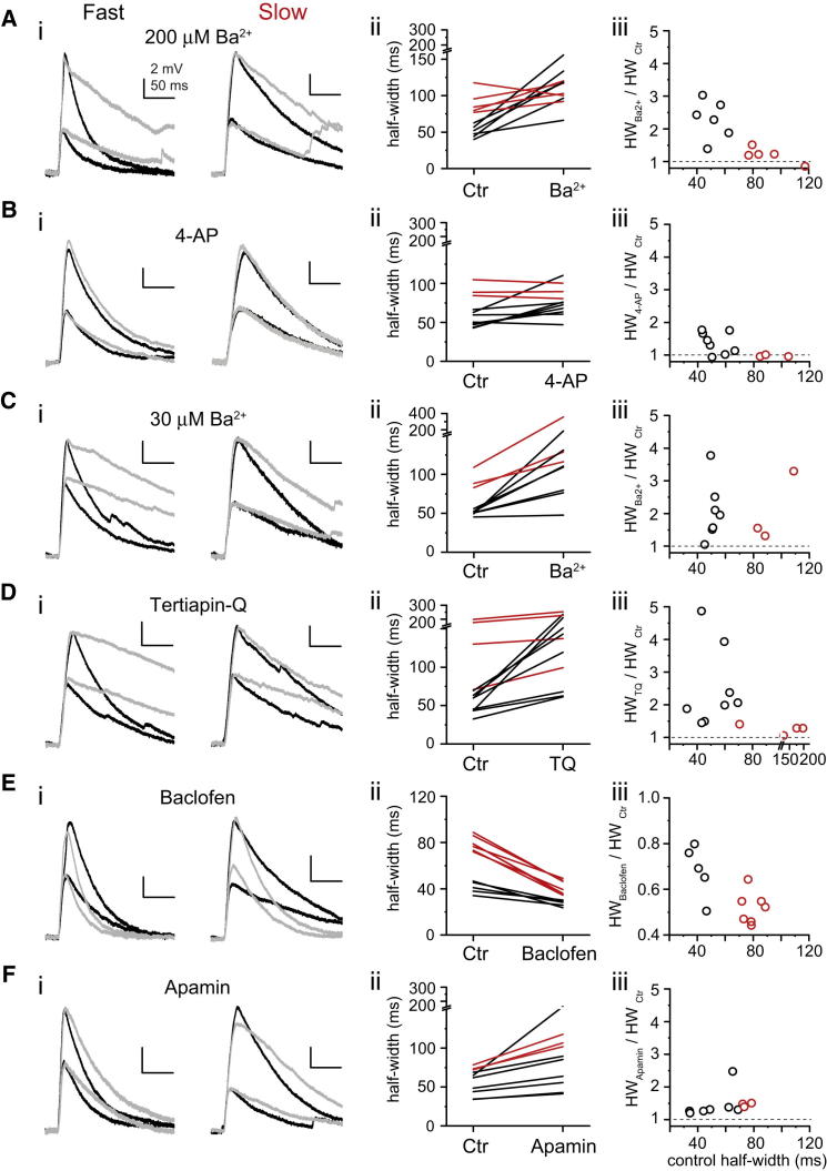 Figure 6