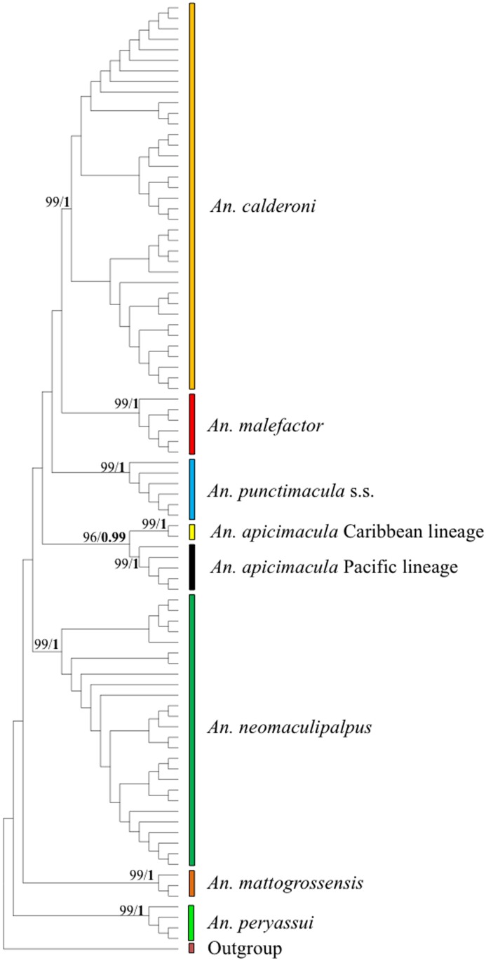 Fig 2