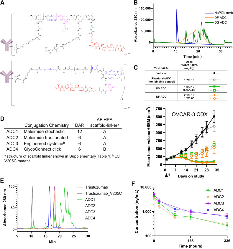 Figure 1. Development of DS and site-specific technology. A, DS ADCs (bottom structure) incorporate structural elements of the DF platform (top structure) within a fully synthetic, well-defined scaffold with a specific number of drugs per conjugated unit. B, The HIC of DS ADC indicates enhanced homogeneity over the DF ADC; C, Antitumor activity of DS and DF ADC following a single dose is comparable at equivalent drug dose and 2 dose levels; D, Trastuzumab ADCs made by four distinct approaches and two scaffold-linker payloads to generate DAR12 and DAR6 conjugates; E, HIC HPLC of trastuzumab ADCs; ADC3 and ADC4 show a fully homogeneous profile; F, Pharmacokinetics profile of ADC1–4 following a single intravenous bolus administration of ADC equivalent to a 0.199 mg/kg AF HPA dose to female CB.17 SCID mice bearing JIMT-1 human breast carcinoma xenograft tumors (6 mice per group) and samples collected at 10 min, 24 hours, 96 hours (ADC3 did not have the 96 hours timepoint due to operator error), 168 hours, and 336 hours. Graph depicts conjugated drug analyte concentration over the course of the study.