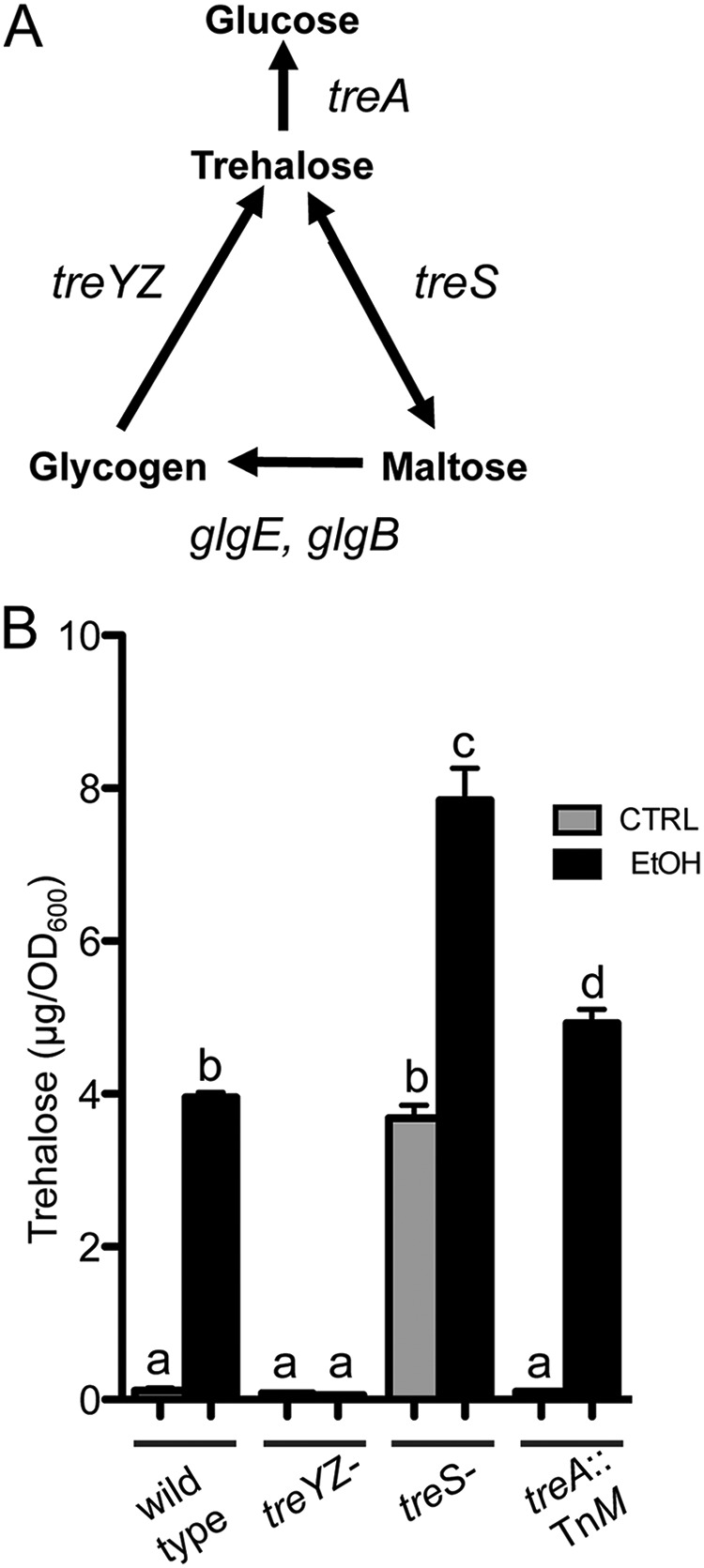 FIG 1