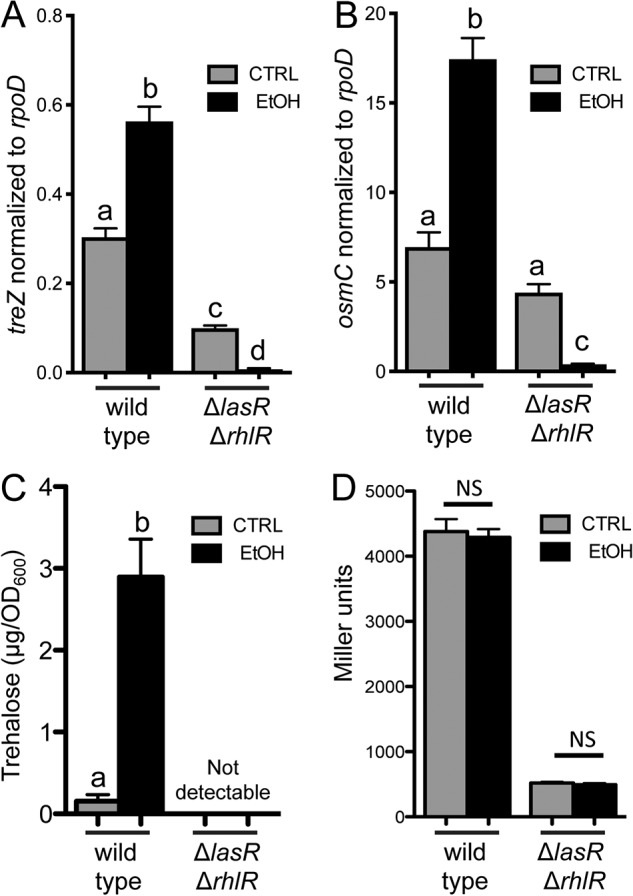 FIG 6