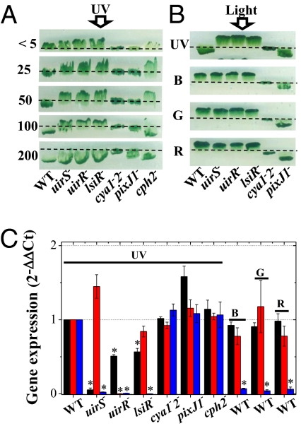 Fig. 3.