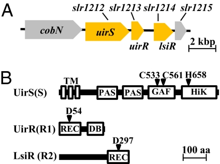 Fig. 1.