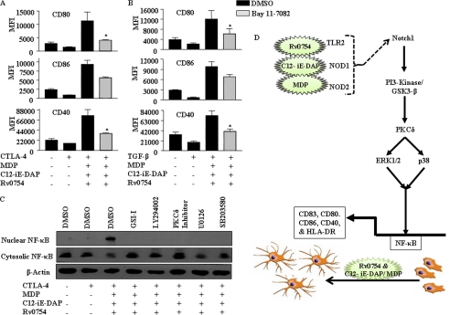 FIGURE 12.