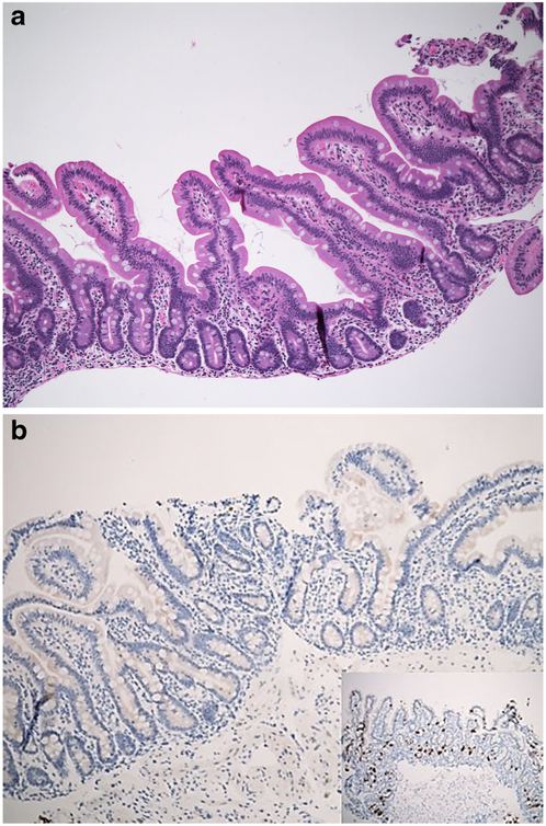 Fig. 9