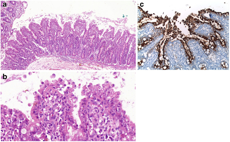 Fig. 3