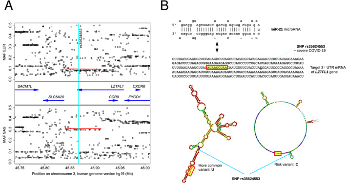 EJHF-2317-FIG-0001-c