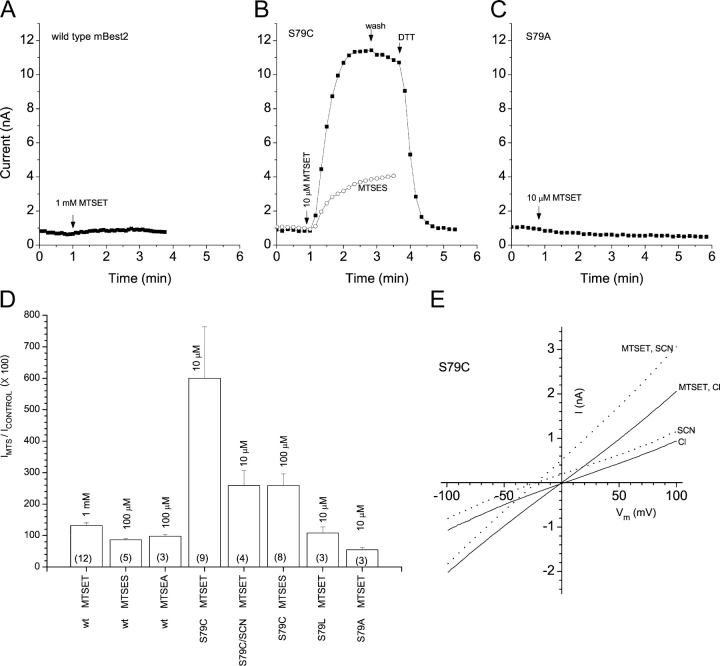 Figure 9. 