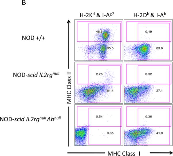 Fig. 1A and Fig 1B