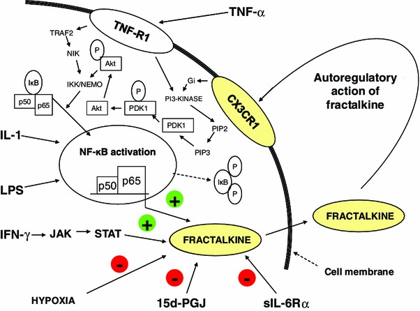 Fig. 3