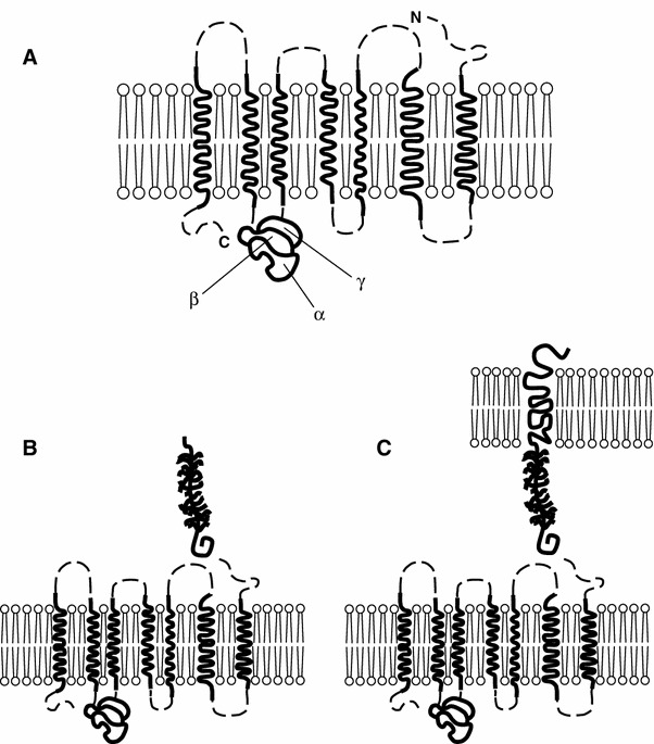 Fig. 2