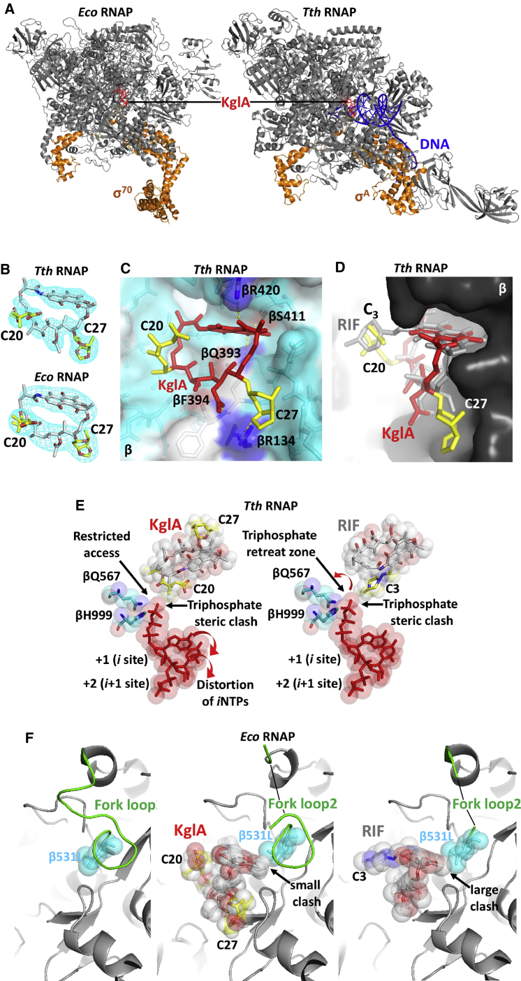 Figure 2