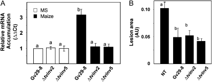 Figure 9.