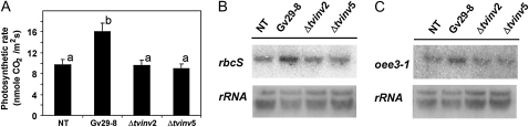 Figure 10.