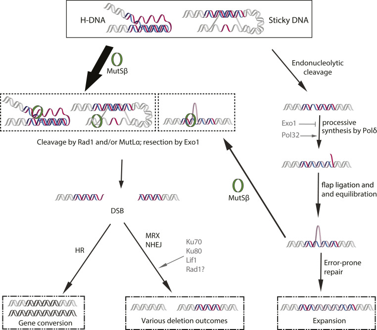 Fig. 7.