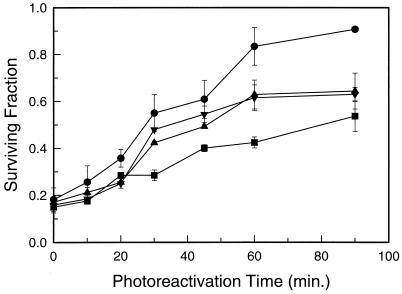 FIG. 7