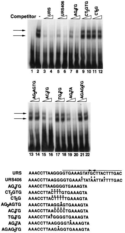 FIG. 6