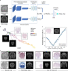 Extended Data Fig. 4