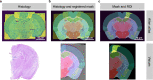 Extended Data Fig. 6