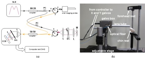 Fig. 1