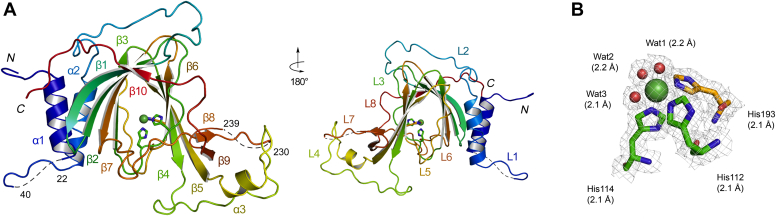 Figure 3