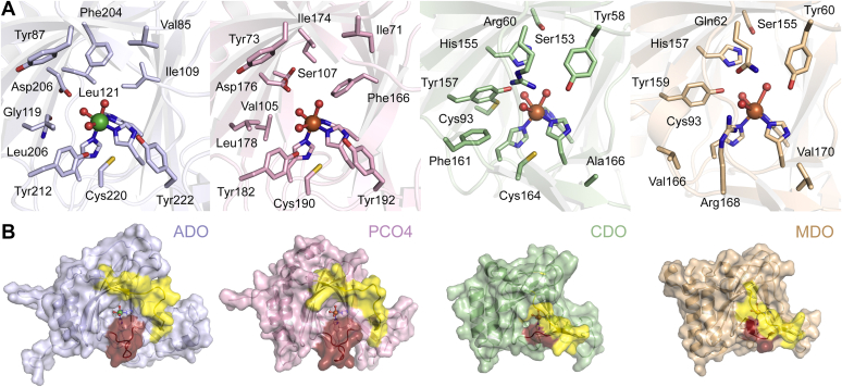 Figure 5