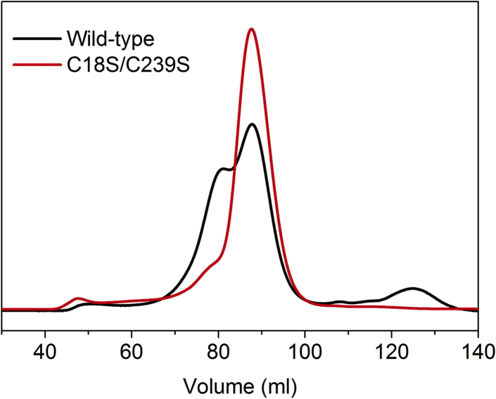 Figure 2