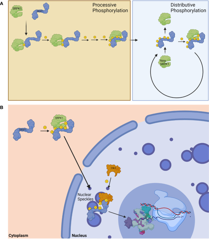 Figure 3