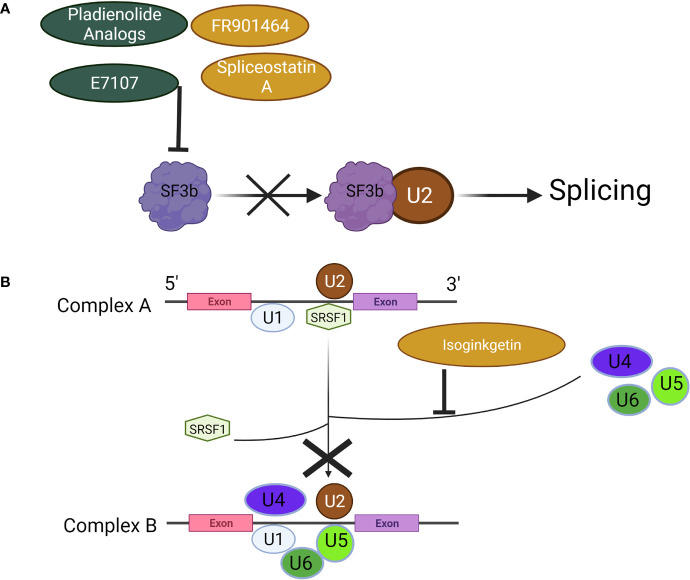 Figure 4