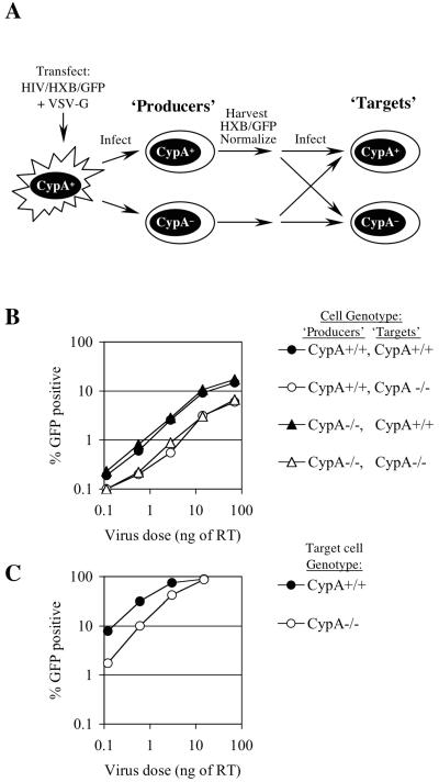 FIG. 1.