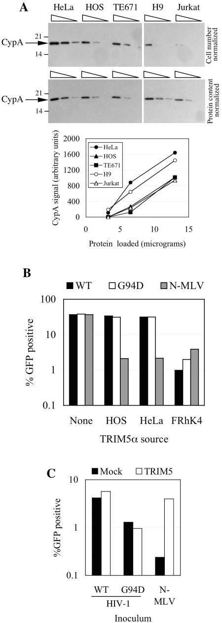 FIG. 5.