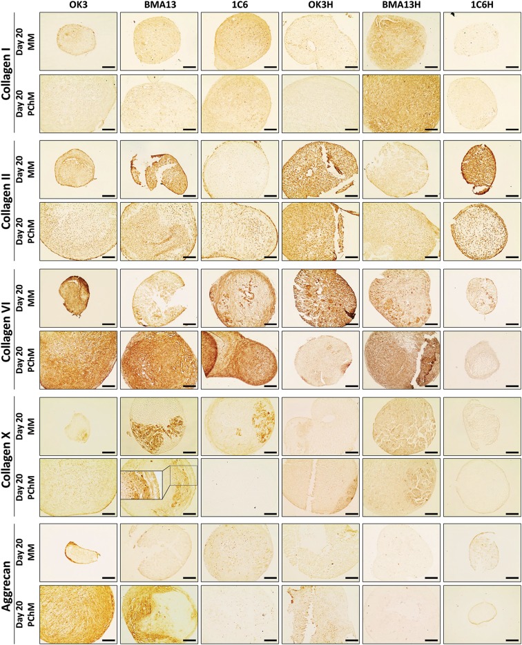 FIG. 6.