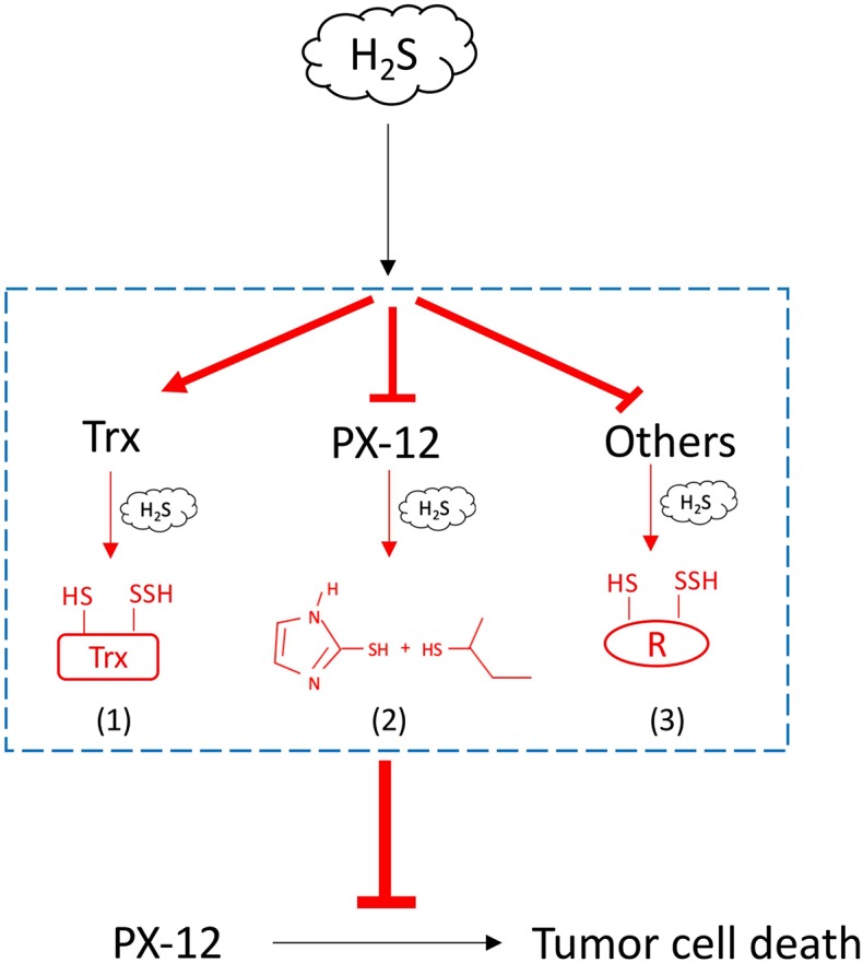 Figure 10