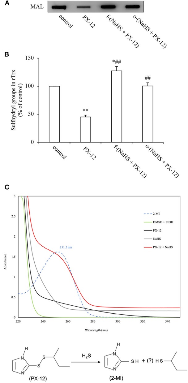 Figure 6