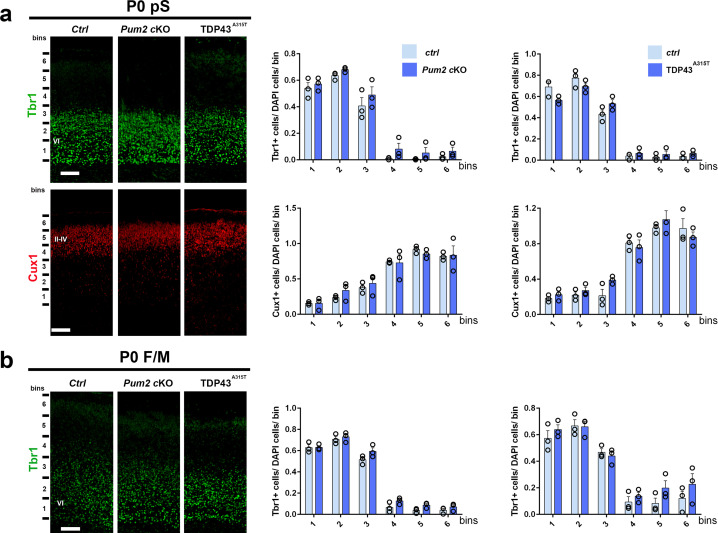 Figure 1—figure supplement 6.