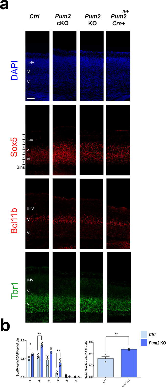 Figure 1—figure supplement 7.