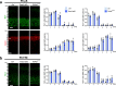 Figure 1—figure supplement 6.